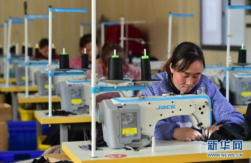 河北贊皇 冬閑不閑 忙增收